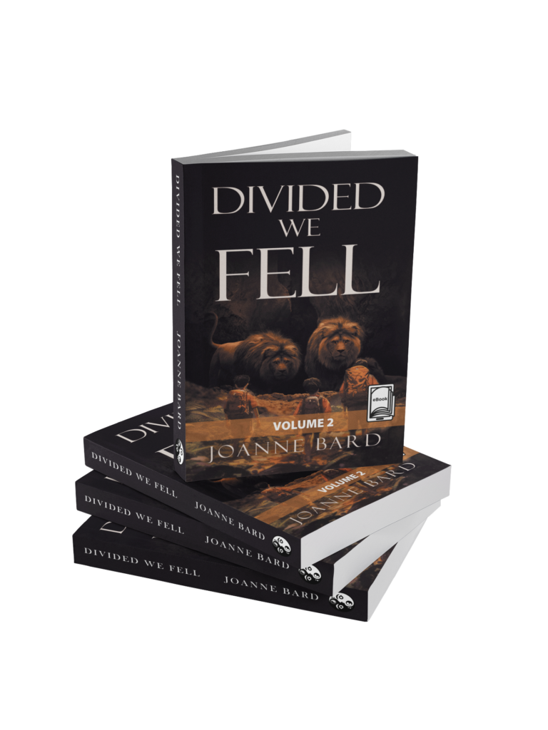 divided-we-fell-joanne-bard